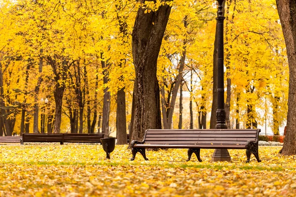 Tombänk i parken — Stockfoto