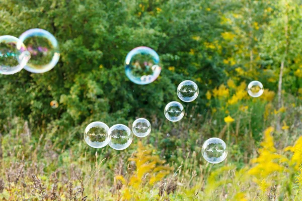 Мильна бульбашка відкритий — стокове фото