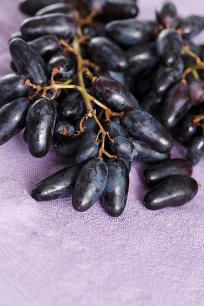 Blaue Trauben — Stockfoto