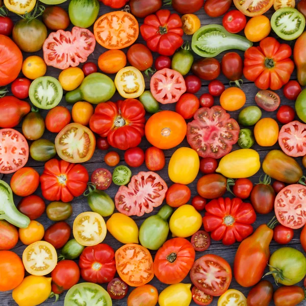 Kleurrijke tomaten — Stockfoto