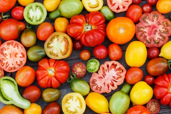 Tomates coloridos — Fotografia de Stock