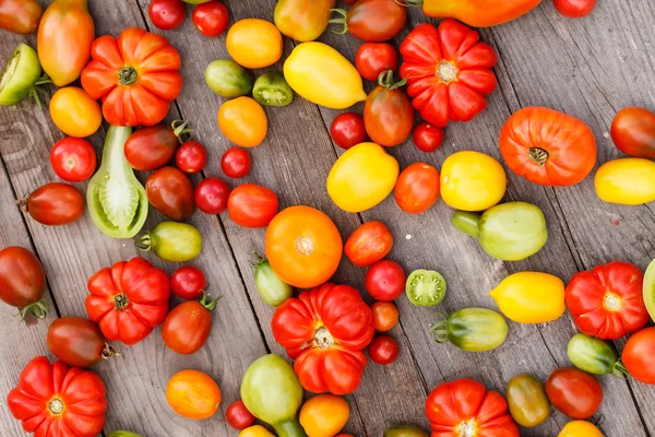 Bunte Tomaten — Stockfoto