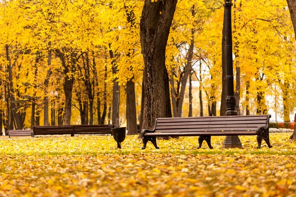 Banc vide dans le parc — Photo