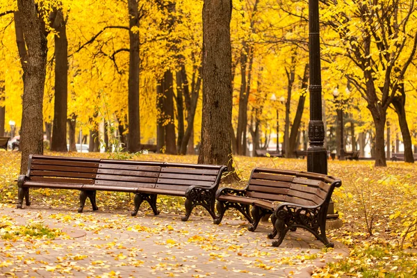 Bench in park — Stock Photo, Image