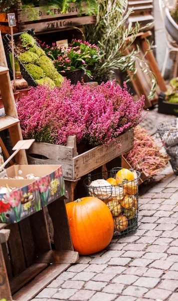 Small flower shop — Stock Photo, Image