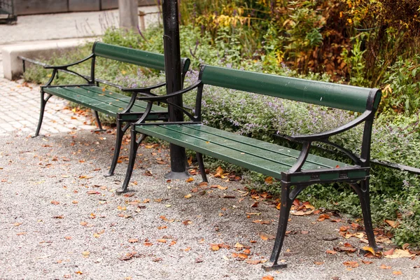 Benches in autumn park — Stock Photo, Image