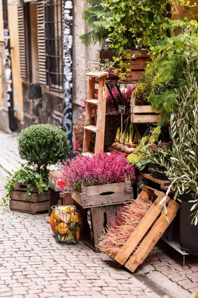 Liten blomsteraffär — Stockfoto