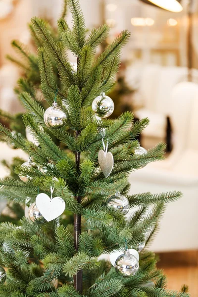 Albero di Natale — Foto Stock