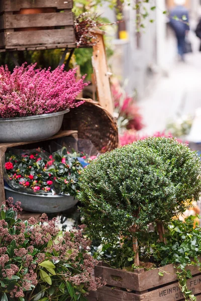 Pequena loja de flores — Fotografia de Stock