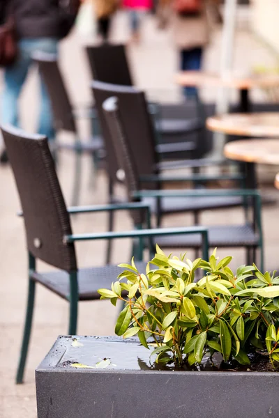 Café al aire libre — Foto de Stock