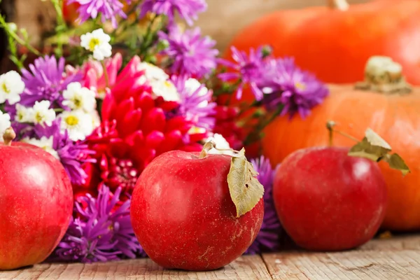 Thanksgiving day concept — Stock Photo, Image