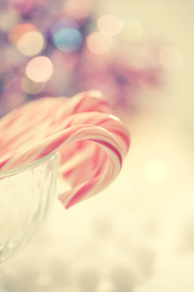 Peppermint candy canes — Stock Photo, Image