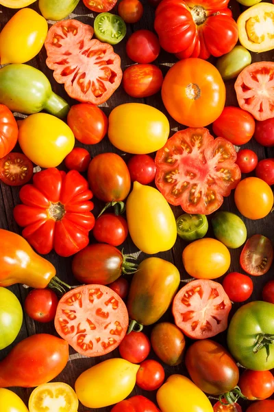 Bunte Tomaten — Stockfoto