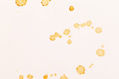 kağıt üzerinde lekesi