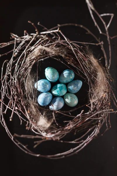 Huevos azules en el nido — Foto de Stock