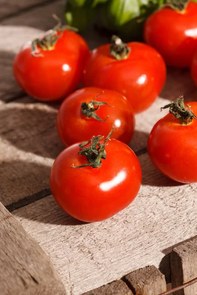 Fresh cherry tomatoes — Stock Photo, Image