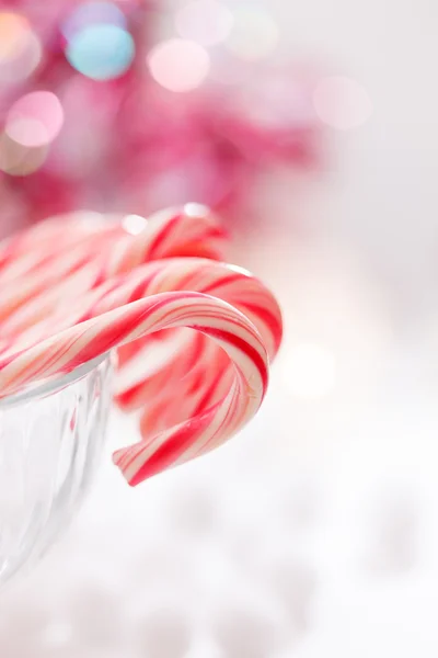 Zuckerstangen zu Weihnachten — Stockfoto