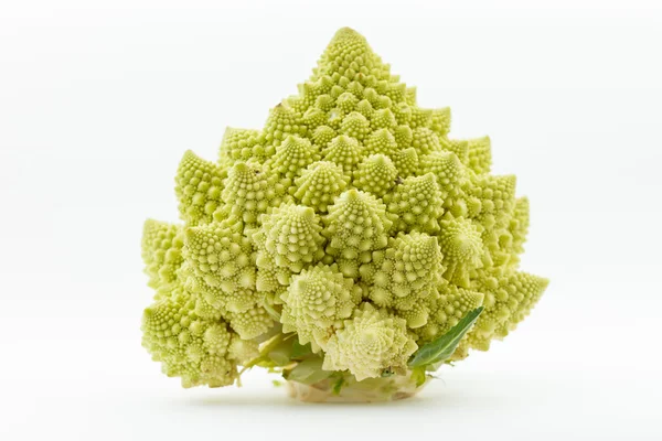 Romanesco brokolice — Stock fotografie