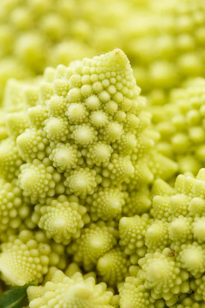 Broccoli Romanesko — Foto Stock