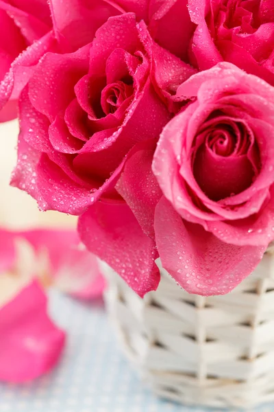 Pink roses in the basket — Stock Photo, Image