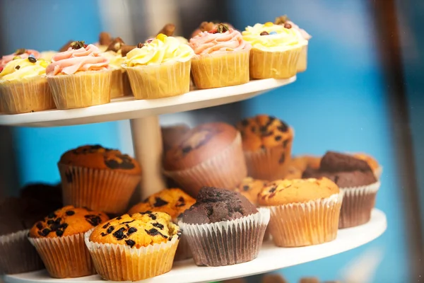 Smakelijke cupcakes — Stockfoto