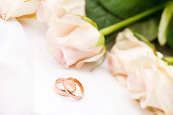 Róże i pierścienie — Zdjęcie stockowe