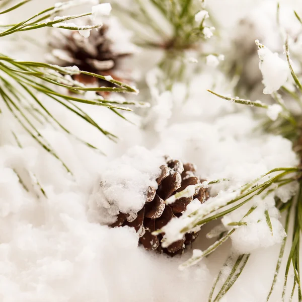 Árbol de Navidad — Foto de Stock