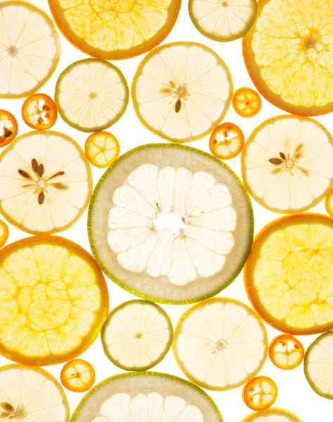 Citrus fruits background — Stock Photo, Image