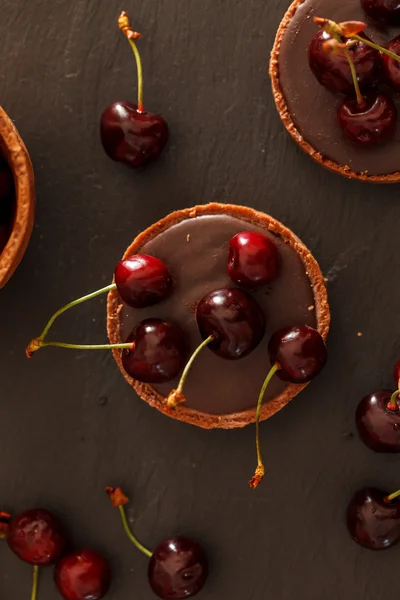 Chocolade taart met cherry — Stockfoto