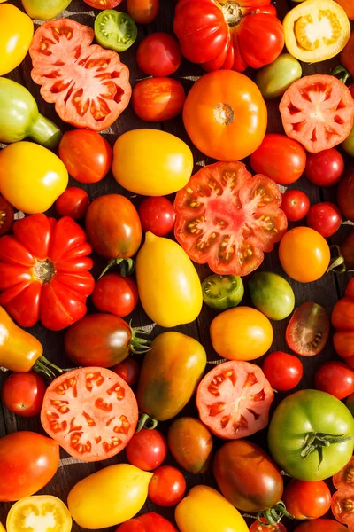 Bunte Tomaten — Stockfoto