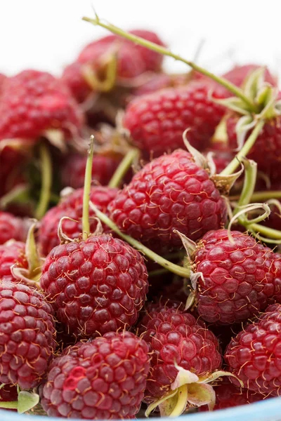 Fresh raspberries — Stock Photo, Image