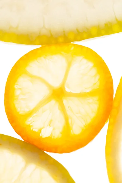 Citrusfrukter bakgrund — Stockfoto