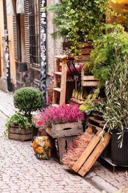 küçük çiçek mağazası