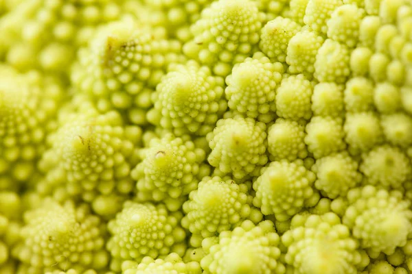Romanesko broccoli — Stock Photo, Image