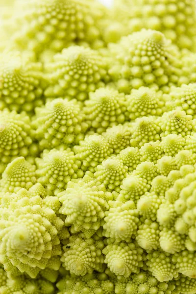 Romanesko broccoli — Stockfoto