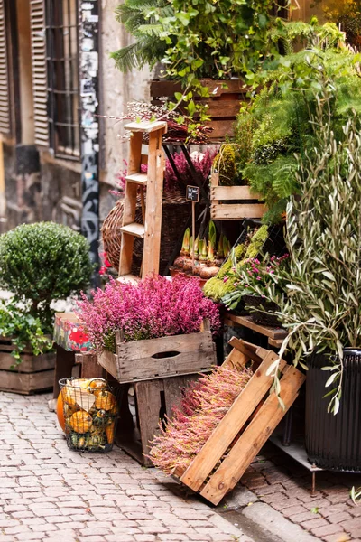 Kleine bloemenwinkel — Stockfoto