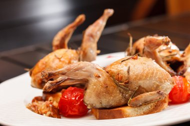 fırında bıldırcın