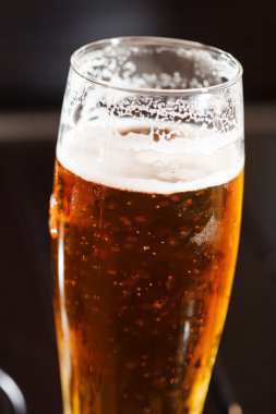 bardak taze lager bira