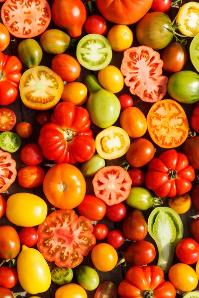 Renkli domates — Stok fotoğraf