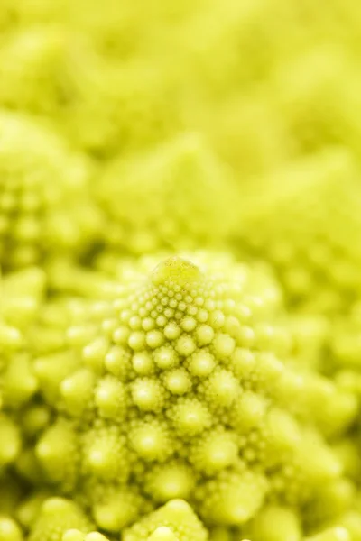 Romanesko brokoli — Stok fotoğraf