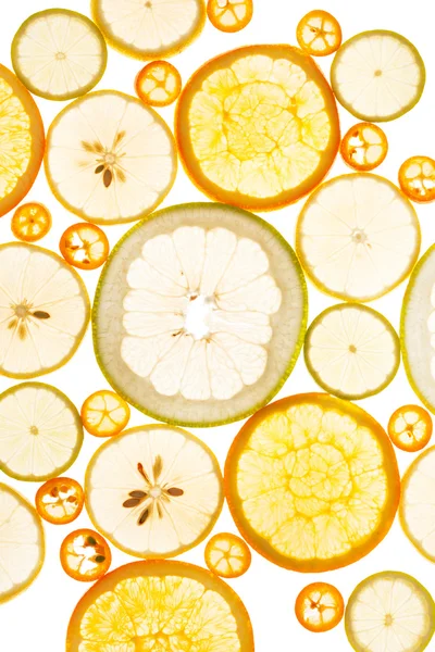 Citrusfélék háttér — Stock Fotó
