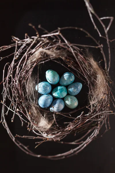Eggs in the nest — Stock Photo, Image