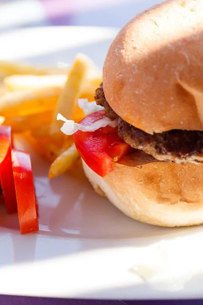 Burger with french fries — Stock Photo, Image