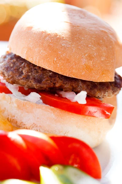 Burger with french fries — Stock Photo, Image