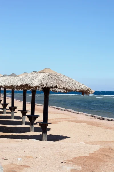 Strandparasol — Stockfoto