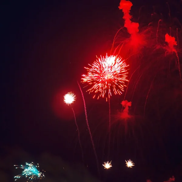 Colorful firework — Stock Photo, Image