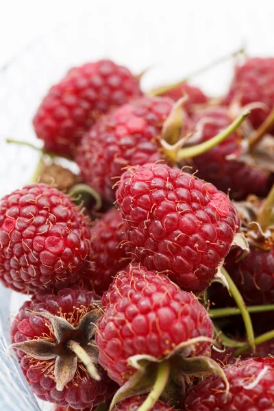 Fresh raspberries — Stock Photo, Image