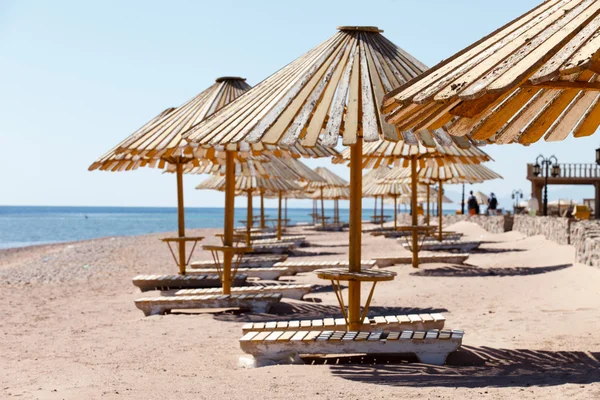 Umbrella on the beach — Stock Photo, Image