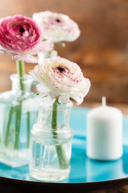 Cam vazo içinde sunulan tipik