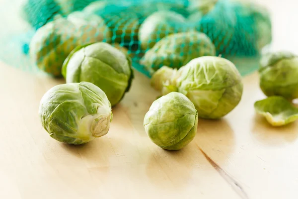 Brussels sprouts cabbage — Stock Photo, Image
